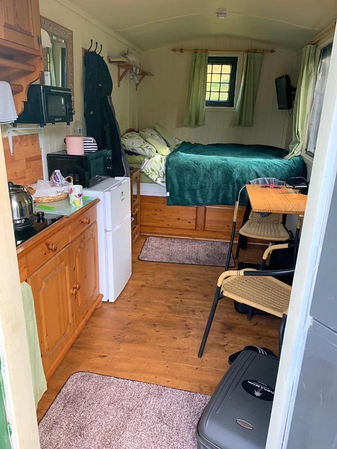 Snug & Secluded Lakeside Shepherds Hut 'Carp' Uckfield Luaran gambar