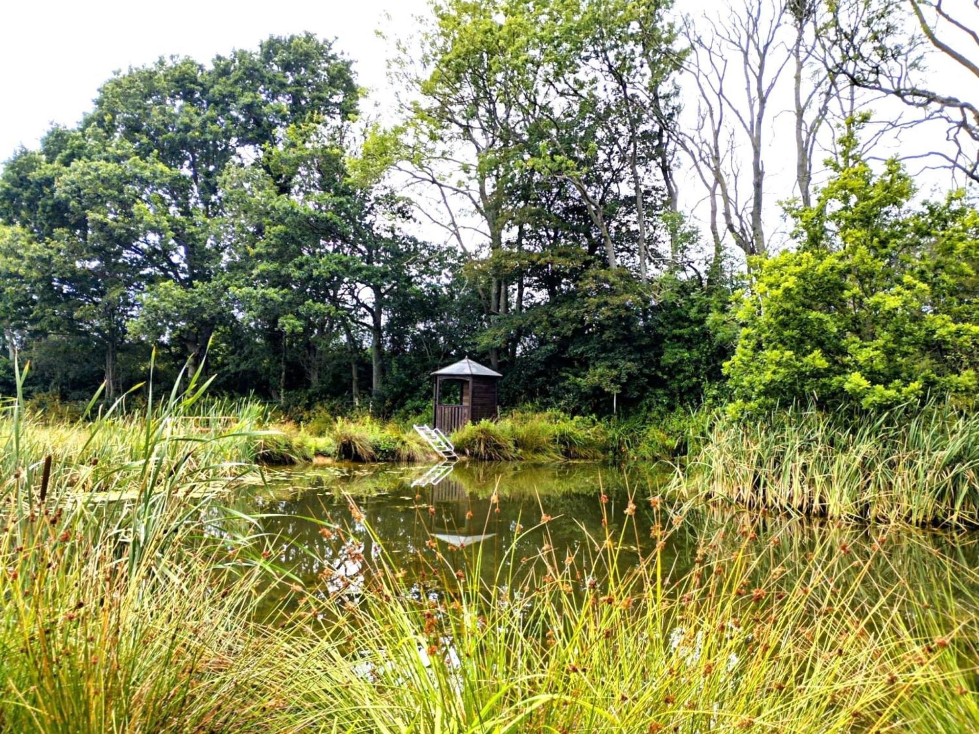 Snug & Secluded Lakeside Shepherds Hut 'Carp' Uckfield Luaran gambar