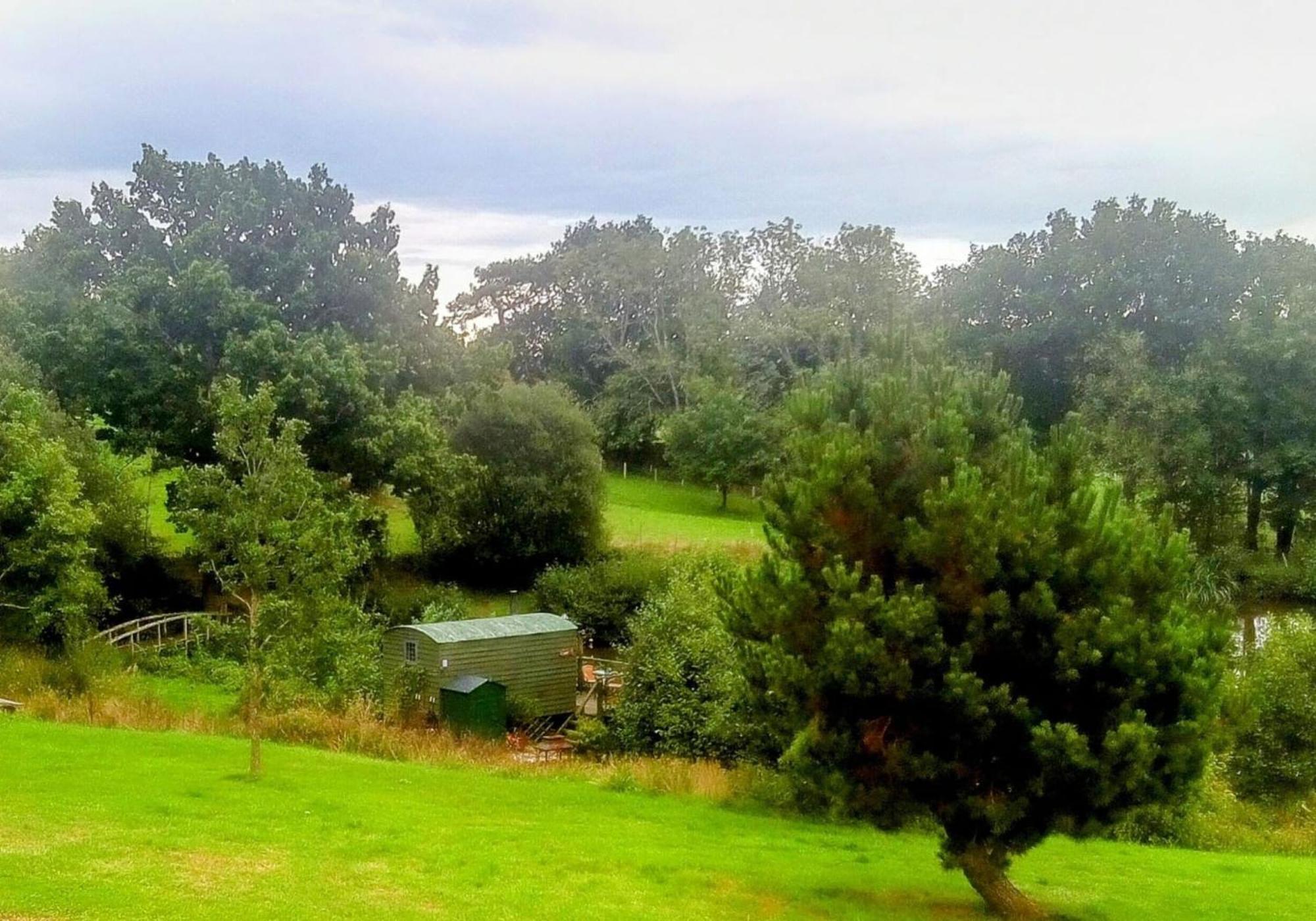 Snug & Secluded Lakeside Shepherds Hut 'Carp' Uckfield Luaran gambar